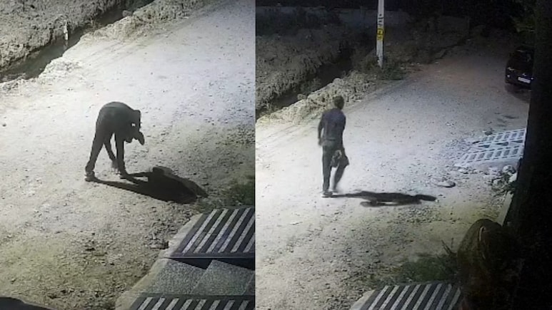 राजस्थान के अनोखे चोर, घर में घुसकर जूते ट्राई करते, फिट आते तो पहनकर चले जाते; गहने-पैसे को छूते तक नहीं