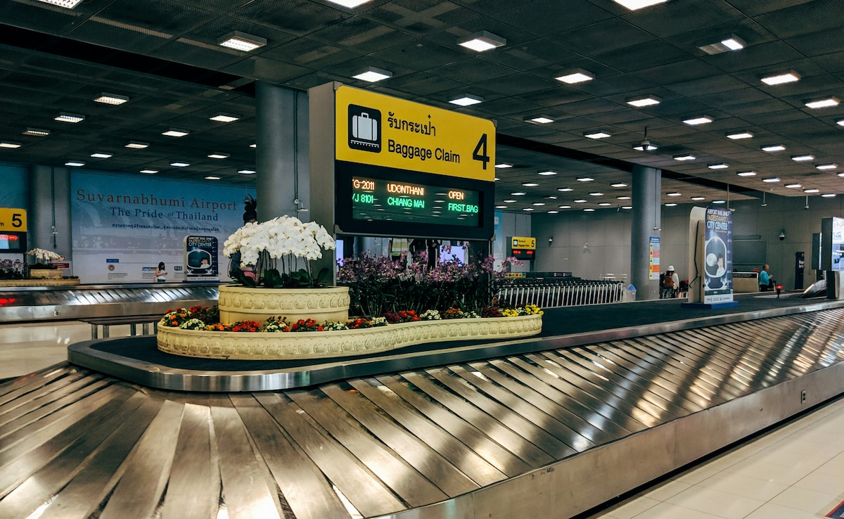 आपके बैग में हाथी है... एयरपोर्ट सिक्योरिटी चेक के दौरान निकली ऐसी चीज, सुनते ही चौंके लोग और फिर जो हुआ...