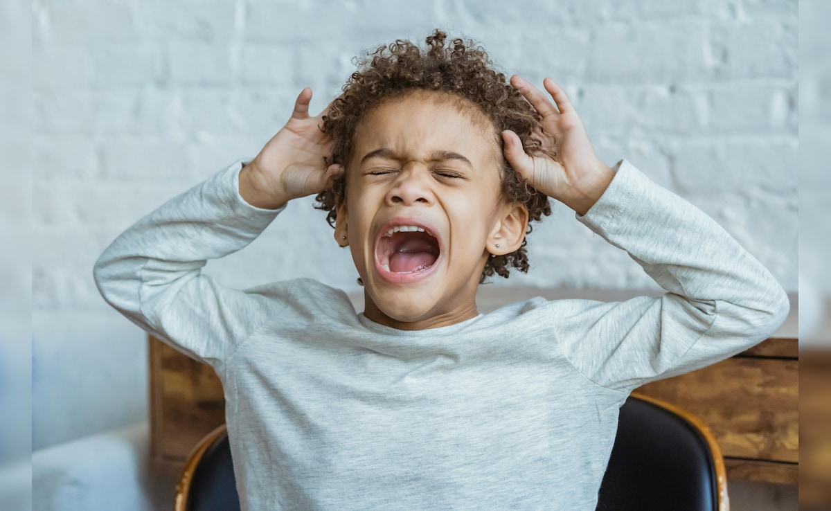 सलंबूर में 5 बच्चों की मौत, दिमागी बुखार के नजर आए लक्षण, गांवों में दहशत के बीच जांच