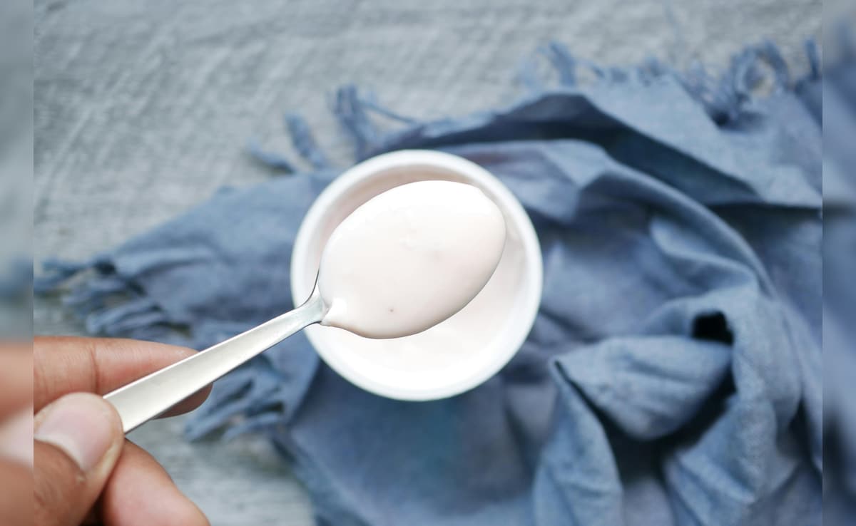 Curd Tips: गर्मियों में दही जल्दी खट्टा हो जाता है? इन आसान तरीकों से बनाए रखें ताजा और स्वादिष्ट