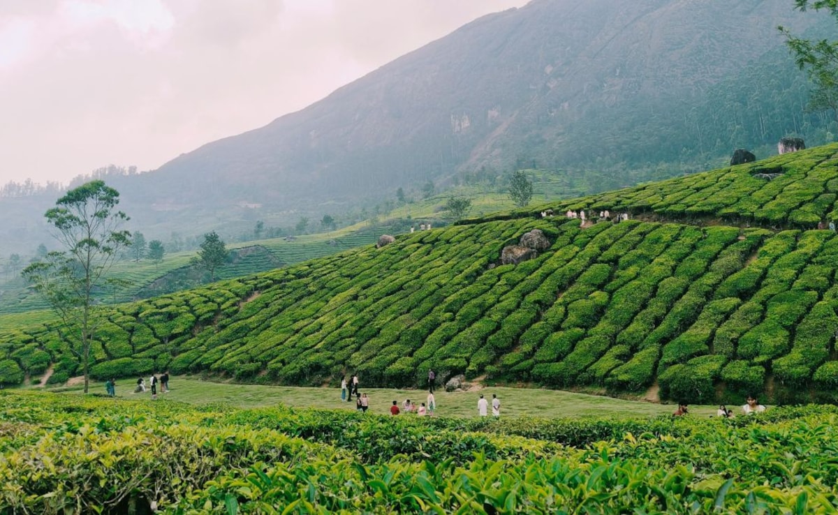 Latest and Breaking News on NDTV