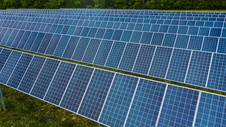 Waaree Energies Shares Tumble Nearly 9% After Q4 Results, Dividend