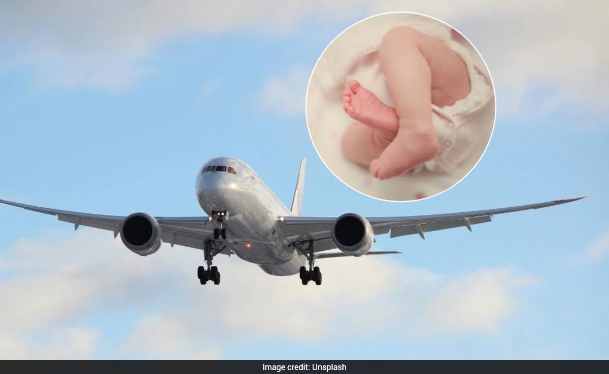 Rare Childbirth On Plane Sparks Citizenship Debate, Air Traffic Controller Suggests Cute Name