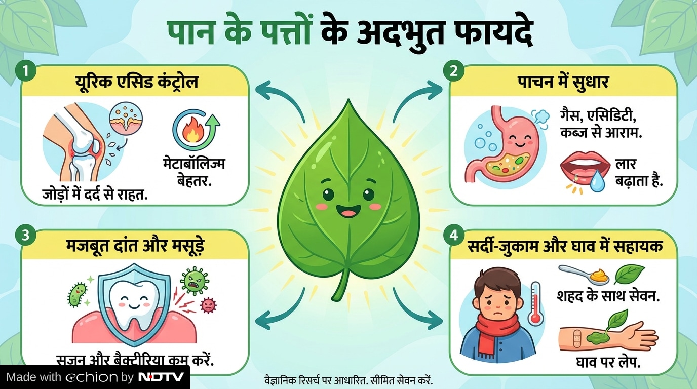 Latest and Breaking News on NDTV