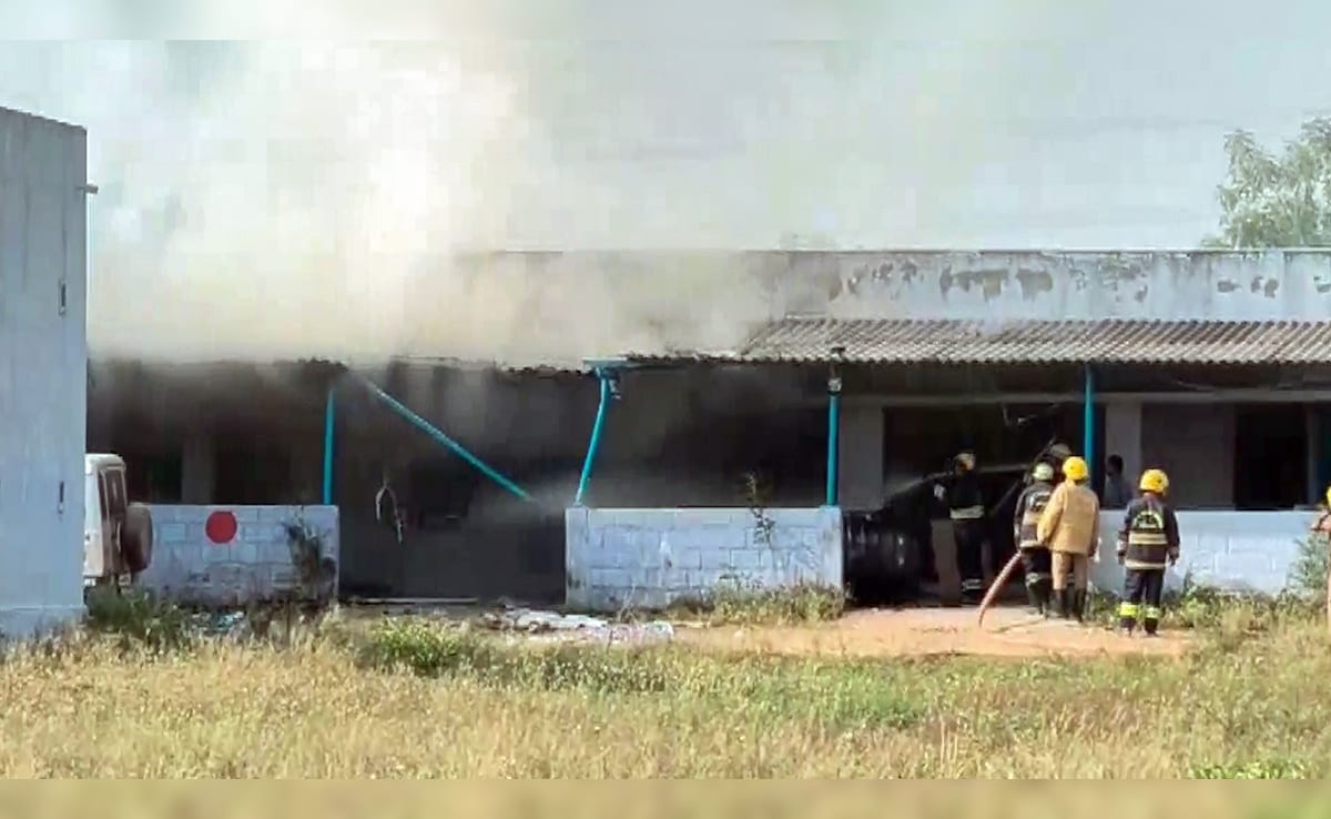 Latest and Breaking News on NDTV