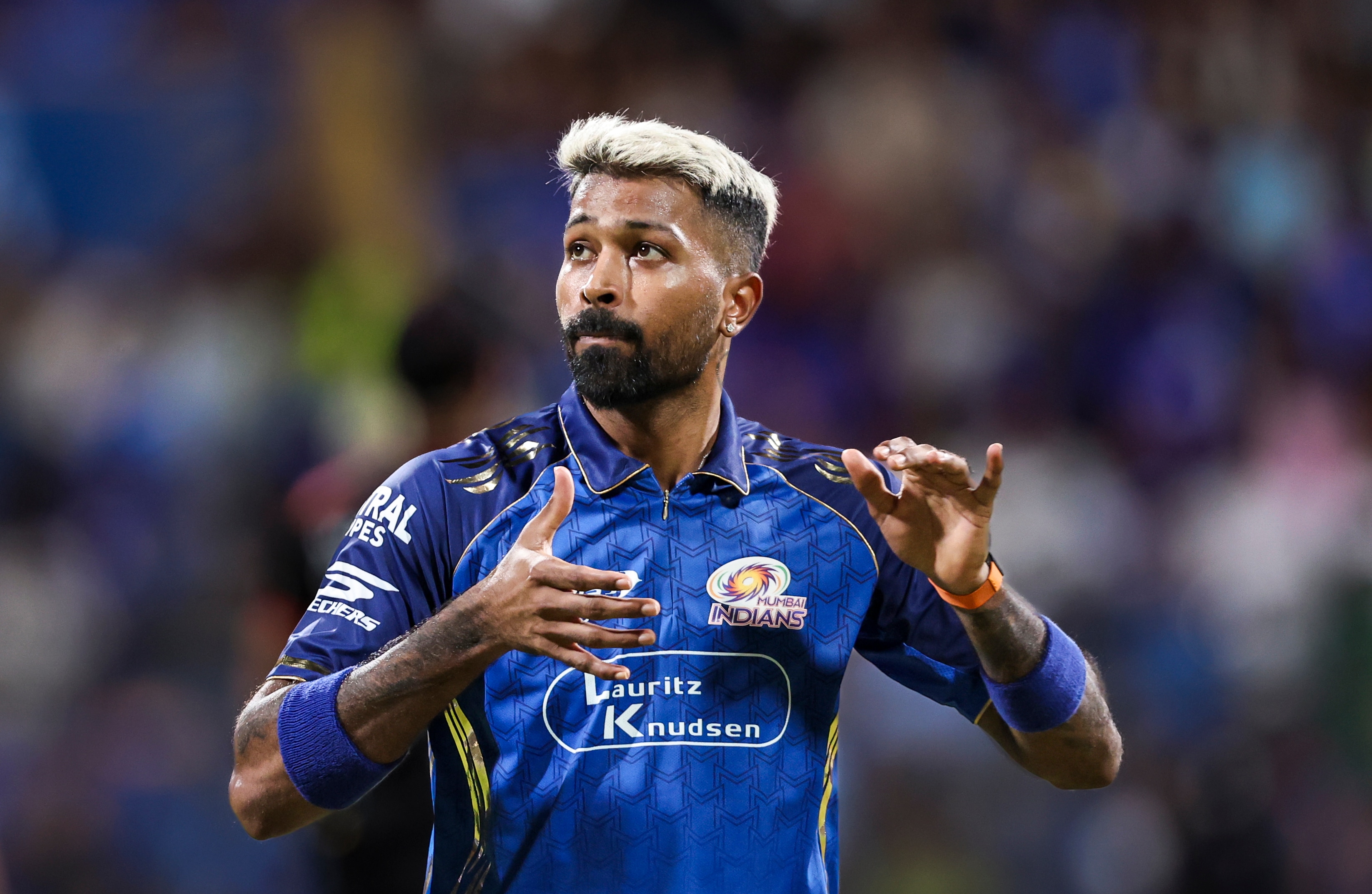 The Art of Baking: From Classic Bread to Artisan Pastries