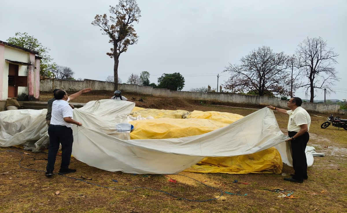 सीधी कलेक्टर की गेहूं खरीदी पर सख्ती: खुद पॉलीथिन डालकर बचाई गेहूं की बोरियां, लापरवाही पर प्रभारी निलंबित