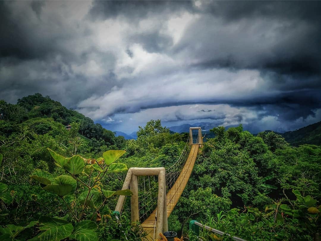 Lalsavunga Park and the Walk Above Mizoram's Hills