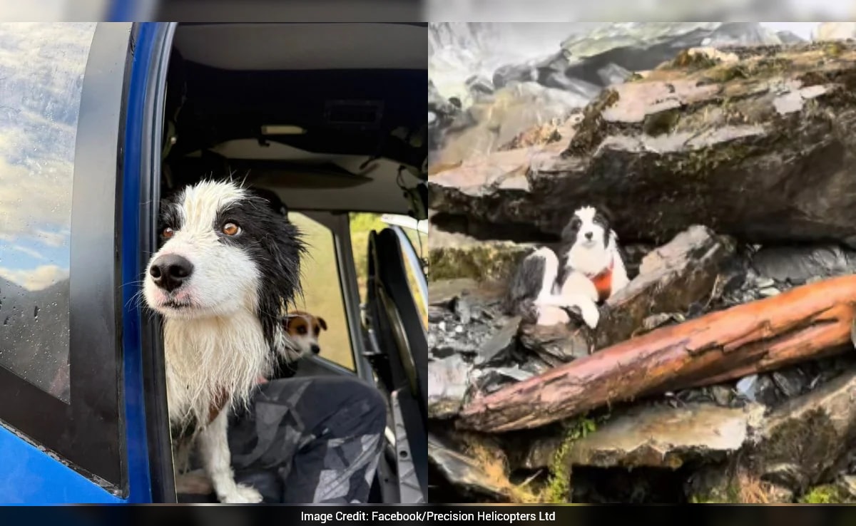 The Art of Baking: From Classic Bread to Artisan Pastries