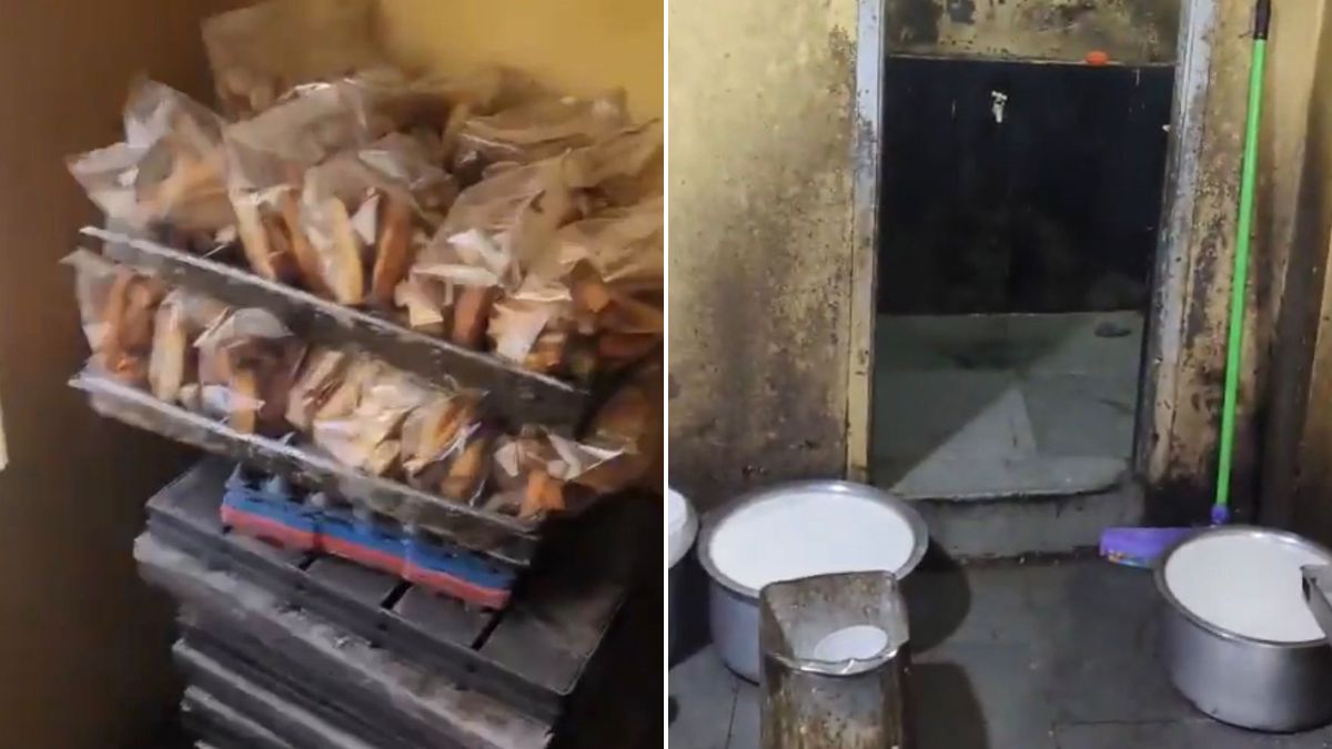 Illegal Bakery Owner Arrested In Hyderabad, Items Worth Rs 3 Lakh Seized