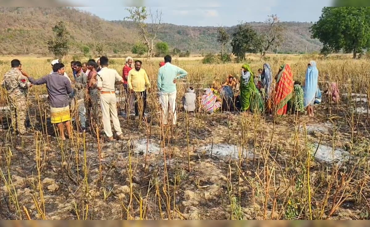 दर्दनाक: खेत में फसल के साथ ही जिंदा जल गया बुजुर्ग किसान, जब तक मदद पहुंची तब तक सब हो गया राख