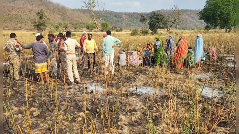 दर्दनाक: खेत में फसल के साथ ही जिंदा जल गया बुजुर्ग किसान, जब तक मदद पहुंची तब तक सब हो गया राख