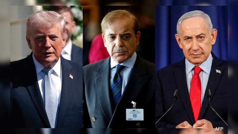 'पाकिस्तान को भरोसेमंद नहीं मानते'... इजरायली दूत ने सीजफायर डील के बाद यह बात क्यों कही?