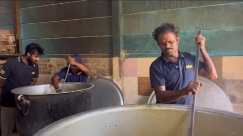 In Bengaluru, Hundreds Of Dogs Left Waiting For Food. Reason: LPG