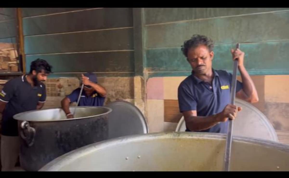 In Bengaluru, Hundreds Of Dogs Left Waiting For Food. Reason: LPG