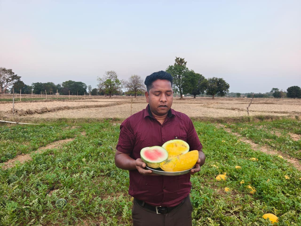 Unique Farming: पीला और लाल तरबूज