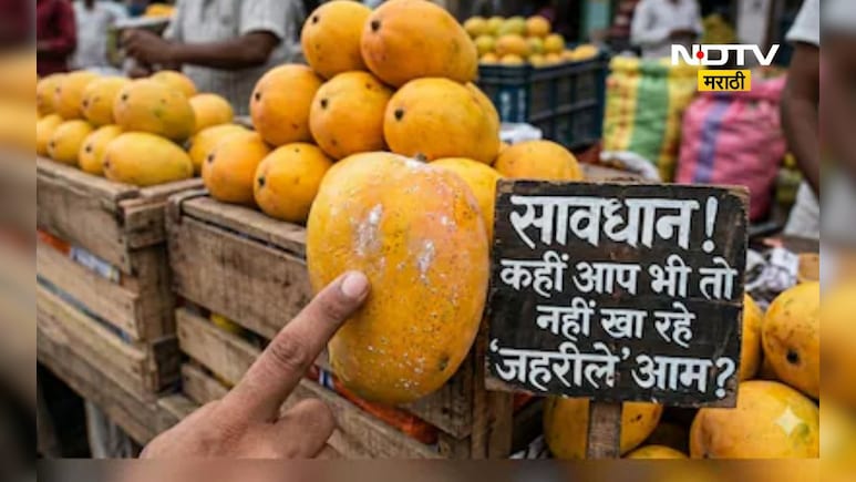 Mangoes Expert Tips: खऱ्या खोट्या आंब्याची ओळख कशी कराल? वापरा ही भन्नाट ट्रीक अन् घरी आणा चांगला आंबा