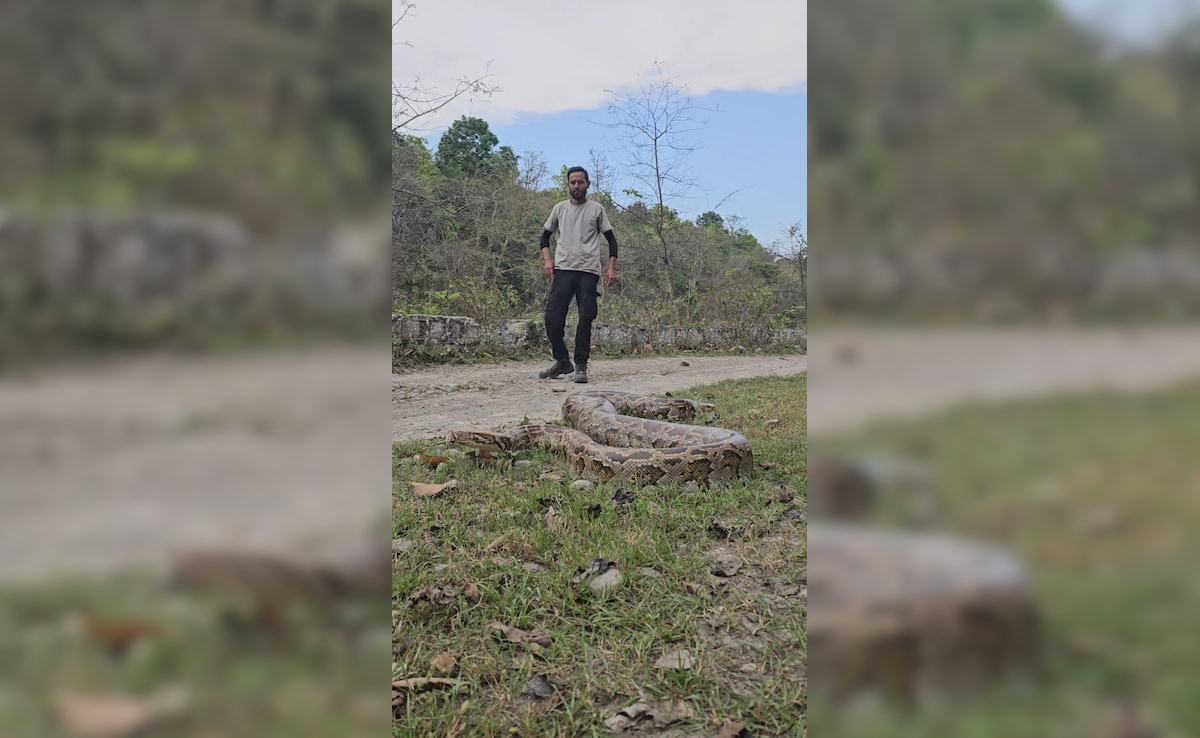 Latest and Breaking News on NDTV