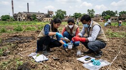 Lead Levels In Soil Dangerously High In Delhi-NCR, Haryana, Rajasthan: What This Means For Public Health In North India