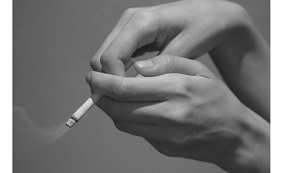 Image: Insta@happyp1ant