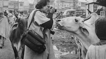 Raghu Rai, Man Behind India's Most Iconic Images, Dies At 83
