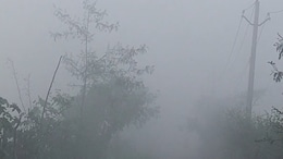 Rajasthan Weather: राजस्थान में तेज बारिश और ओलावृष्टि का कहर, आज भरतपुर में ऑरेंज अलर्ट, अगले 4 दिन तक राहत नहीं