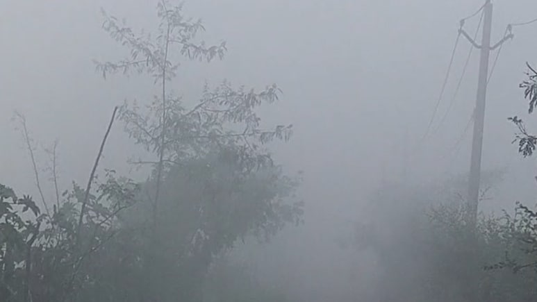 Rajasthan Weather: राजस्थान में तेज बारिश और ओलावृष्टि का कहर, आज भरतपुर में ऑरेंज अलर्ट, अगले 4 दिन तक राहत नहीं