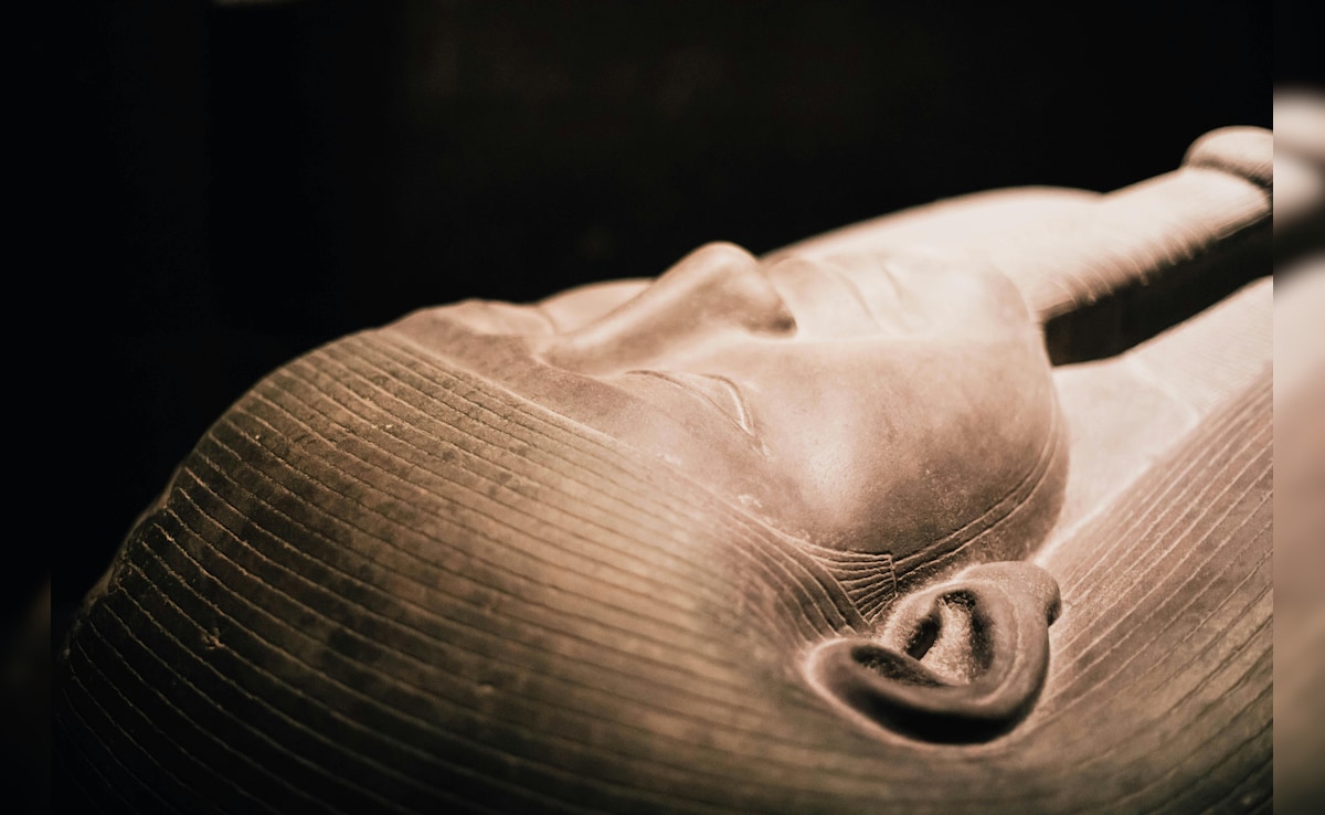 Latest and Breaking News on NDTV