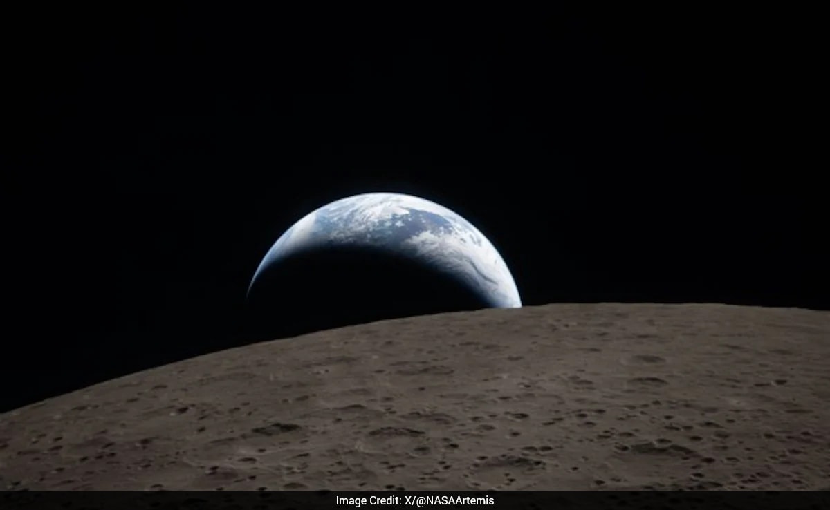 The Art of Baking: From Classic Bread to Artisan Pastries