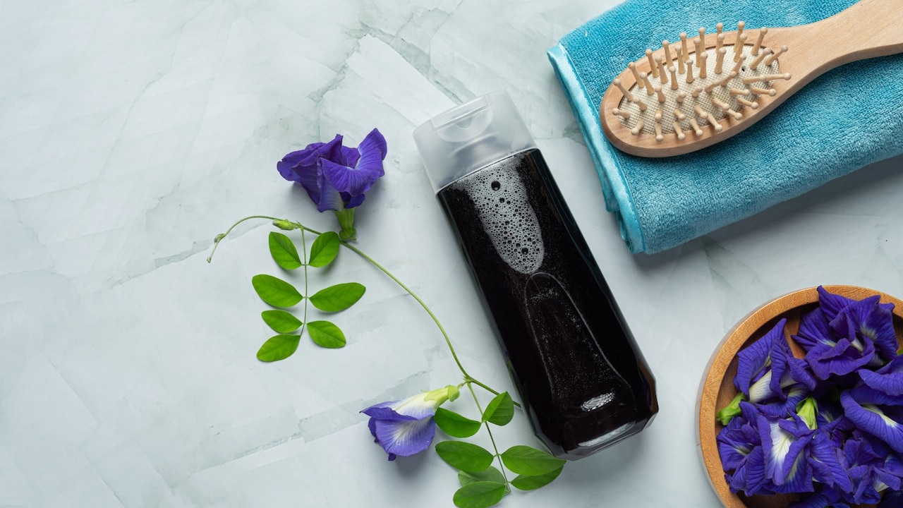 Hair Fall, Frizz Or Dullness? Haircare Combo Deals At Myntra Glow Up Days Hair Fall, Frizz Or Dullness? Haircare Combo Deals At Myntra Glow Up Days