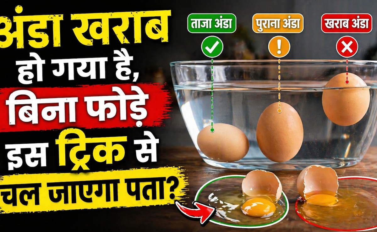 2 मिनट में पता करें अंडा ताजा है या खराब! जानिए सबसे आसान और सटीक तरीके