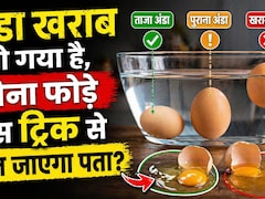 2 मिनट में पता करें अंडा ताजा है या खराब! जानिए सबसे आसान और सटीक तरीके