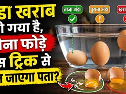 2 मिनट में पता करें अंडा ताजा है या खराब! जानिए सबसे आसान और सटीक तरीके