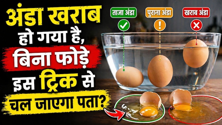 2 मिनट में पता करें अंडा ताजा है या खराब! जानिए सबसे आसान और सटीक तरीके