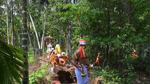 Footbridge Collapse During Ritual in Moodbidri: 8 Injured as Procession Turns Tragic