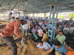 When AI Marks Wheat As <i>Chana</i>, Tomato, Madhya Pradesh Farmers Pay The Price