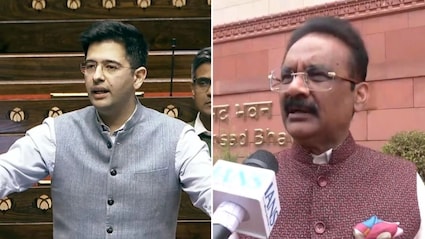 'Raghav Chadha First To Congratulate Me,' Says AAP MP Who Replaced Him