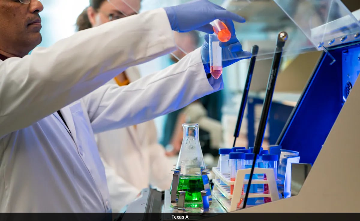 Scientists Reverse Brain Ageing With Nasal Spray In Landmark Study