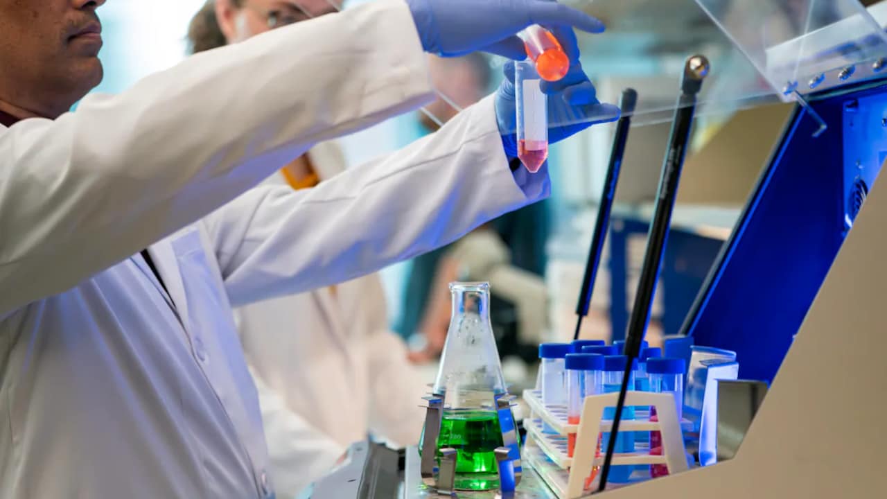Scientists Develop Biodegradable Nanocarrier for Targeted Breast Cancer Therapy