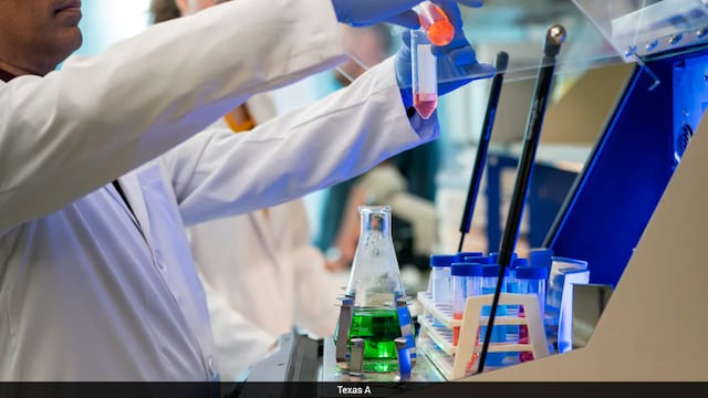 The siRNA molecules are delivered against two critical genes