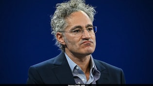 "Nationalise Us, Please": Palantir CEO's Take On AI's Liability Problem