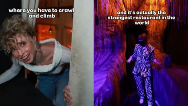 Viral Video Shows People Crawling For Dinner At Singapore Restaurant