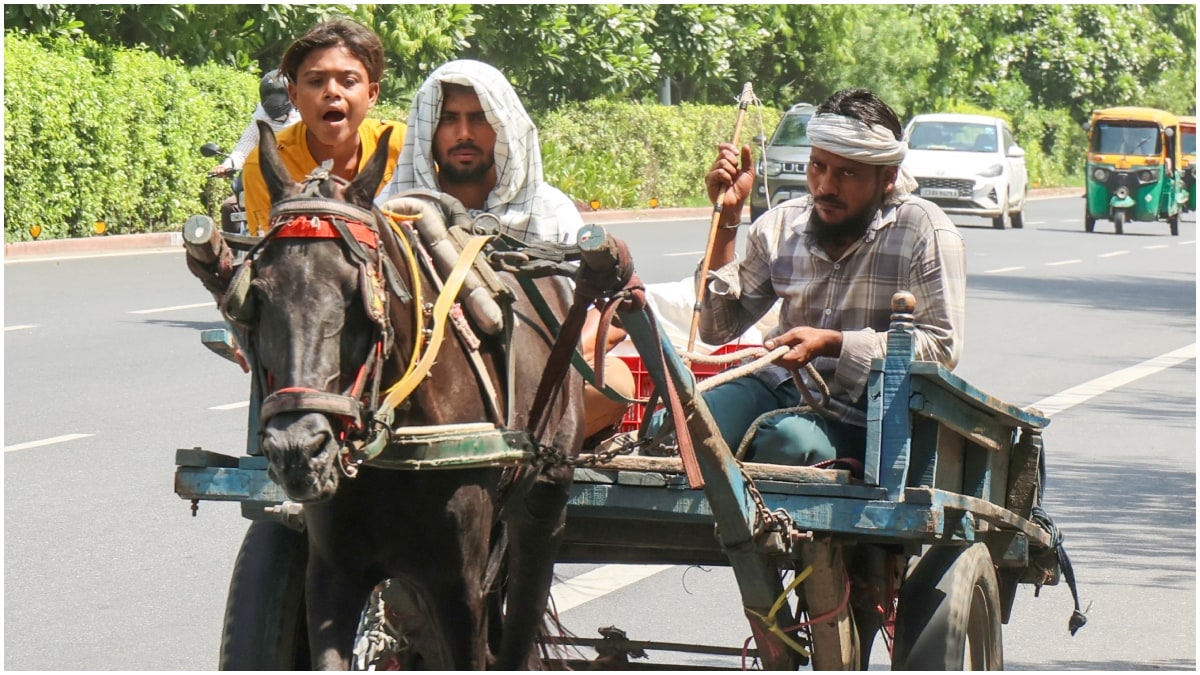 Latest and Breaking News on NDTV