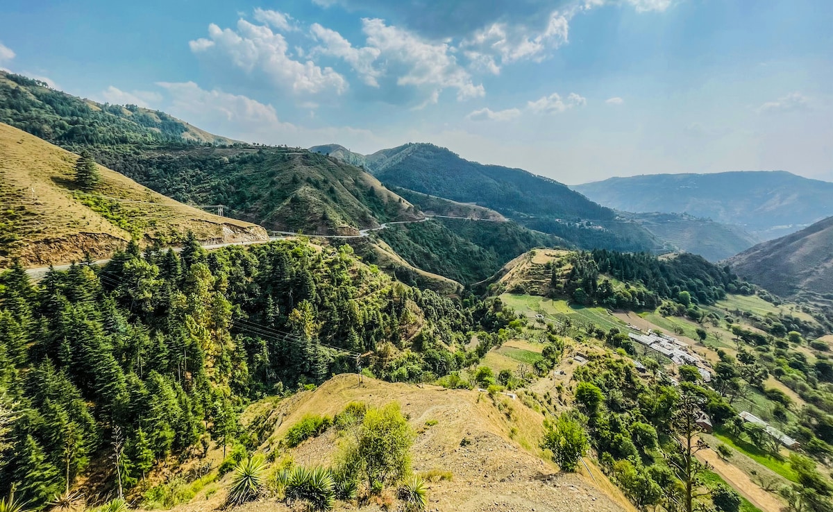 Latest and Breaking News on NDTV