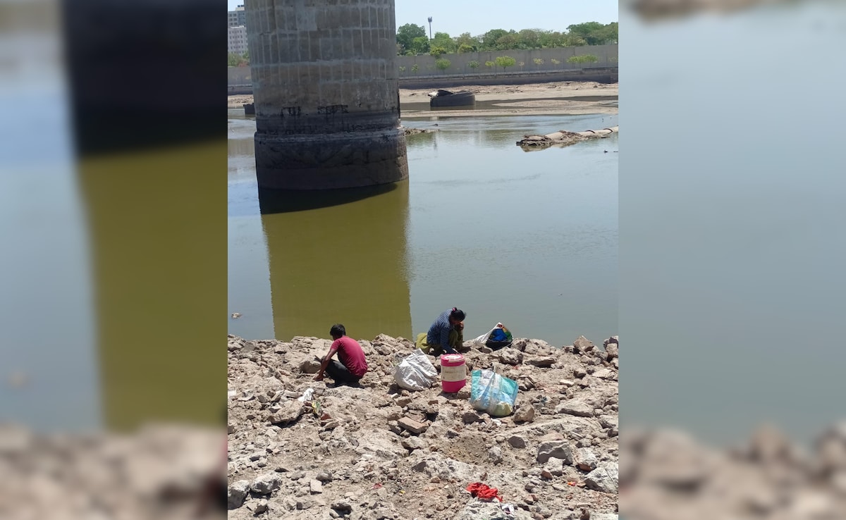 Latest and Breaking News on NDTV