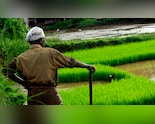 Cabinet Okays Rs 41,500-Crore Fertilizer Subsidy To Shield Farmers This Kharif