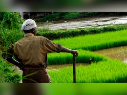 Cabinet Approves Increase In MSP For 14 Kharif Crops For 2026-27