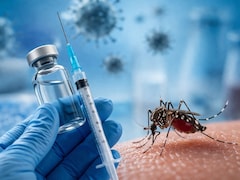 How Vaccinations Play A Crucial Role In Malaria Prevention