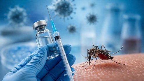 How Vaccinations Play A Crucial Role In Malaria Prevention