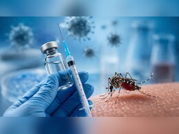 भारत में जल्द आएगी डेंगू की वैक्सीन क्यूडेंगा, किसे लगवानी चाहिए, साइडइफेक्ट क्या हैं और किन देशों को मिली मंजूरी? - Explainer